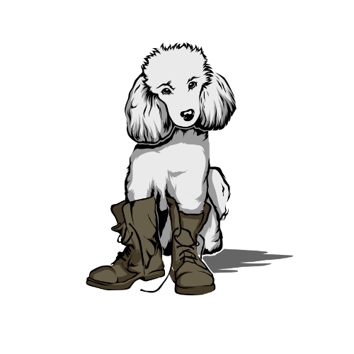 Poodle Pop Up